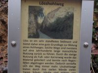 10_Loess-Hohlweg am Siegsteig bei Seligenthal.jpg
