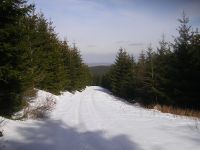 Dreiskopf [781m] bei Willingen